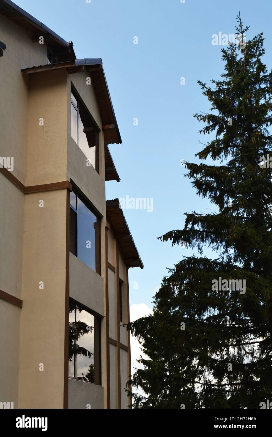 Toits, maisons, attiques, fenêtres donnant sur la forêt de conifères dans la station de montagne Ranca dans les montagnes Parang Banque D'Images