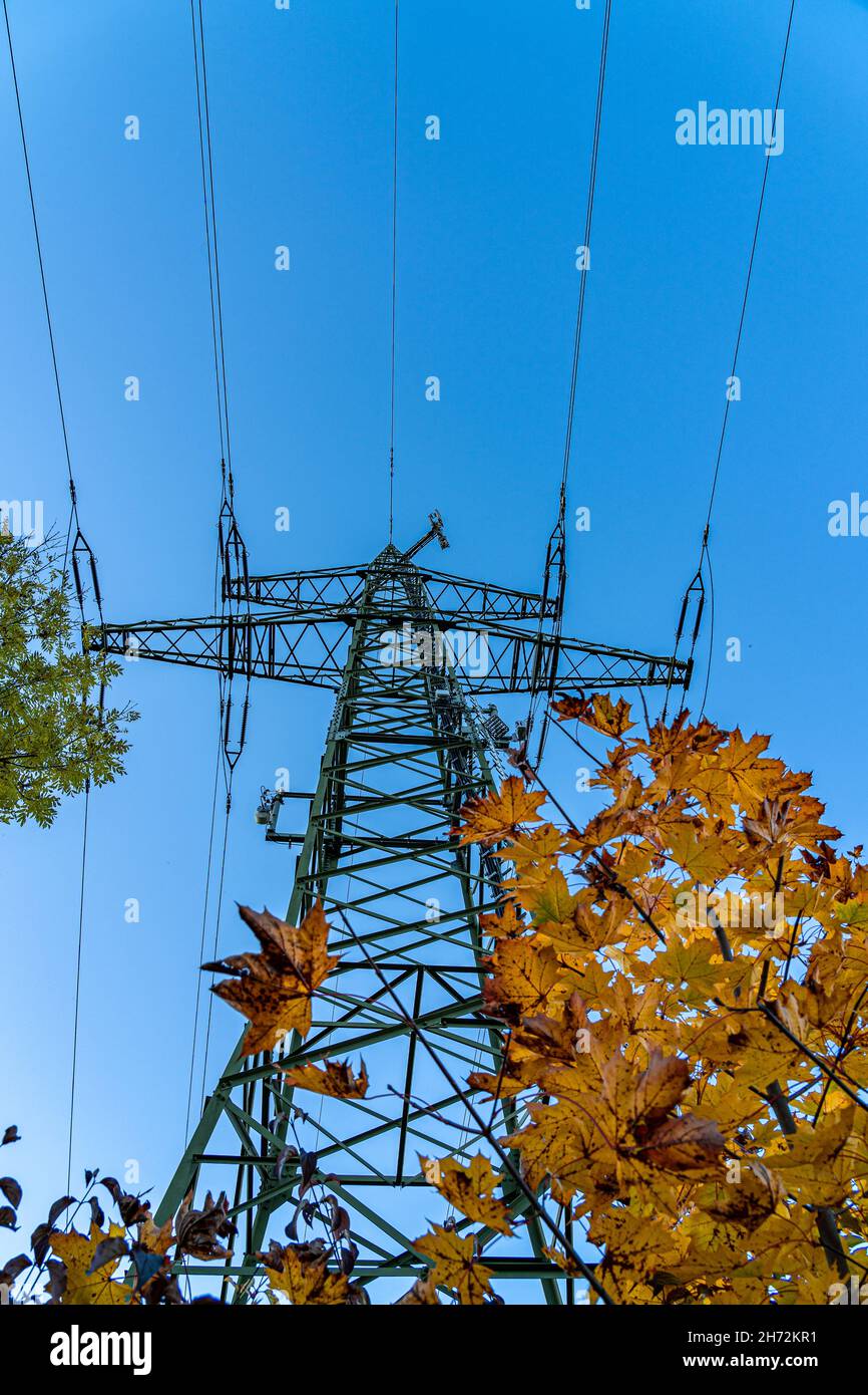 Pylône haute électricité près des arbres avec des feuilles dorées Banque D'Images