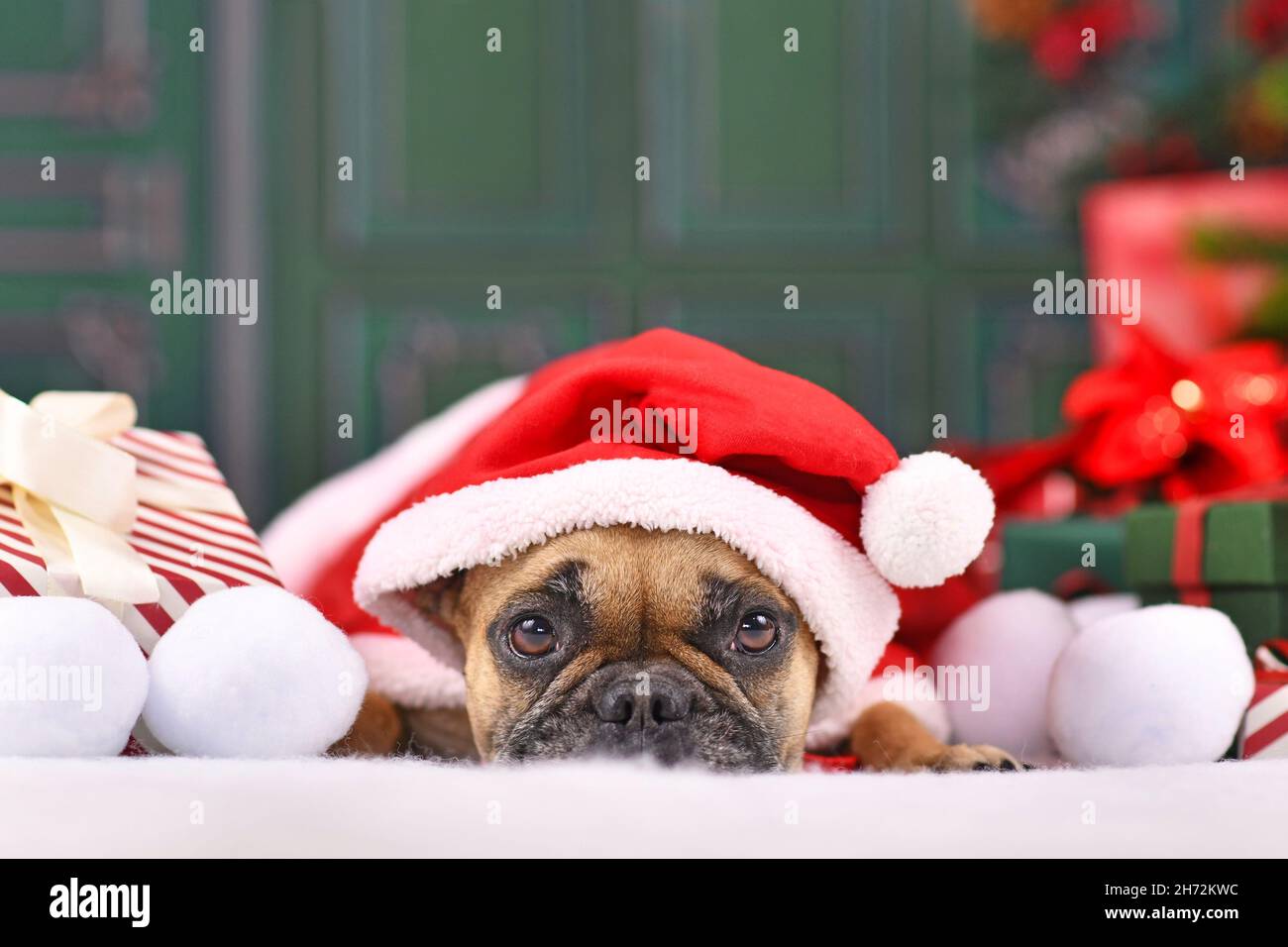 Chien Bulldog français avec cape de Noël du Père noël avec chapeau couché devant le mur vert Banque D'Images Chien Bulldog français avec cape de Noël du Père noël avec chapeau couché devant le mur vert Banque D'Images