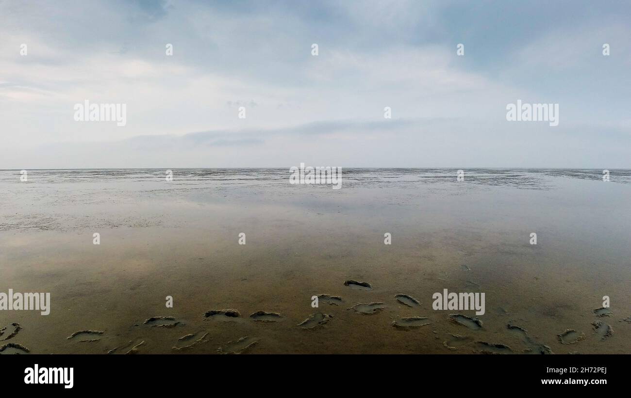 Pistes dans la boue de la mer du Nord à marée basse Banque D'Images