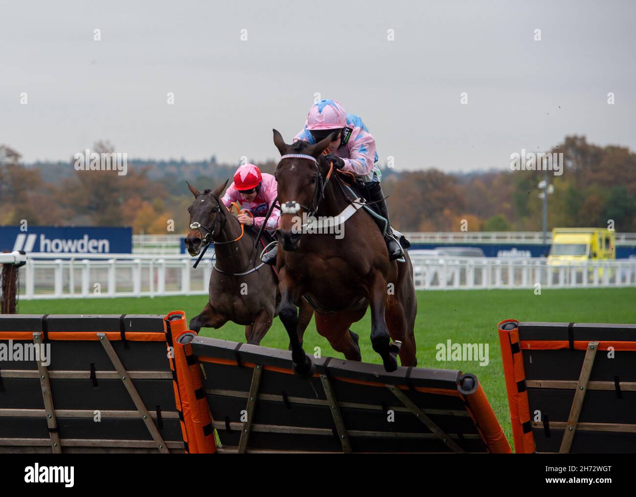 Ascot, Berkshire, Royaume-Uni.19 novembre 2021.Jockey Nico de Boinville sur la jupe en tweed de cheval libère le dernier obstacle avant de gagner la course d'obstacles d'introduction de Fan Pass d'Ascot.Propriétaire seulement quatre hommes avec des lunettes teintées roses.Entraîneur Nicky Henderson, Lambourn.Étude Breeder Goldford.Sponsor Unibet.Crédit : Maureen McLean/Alay Live News Banque D'Images