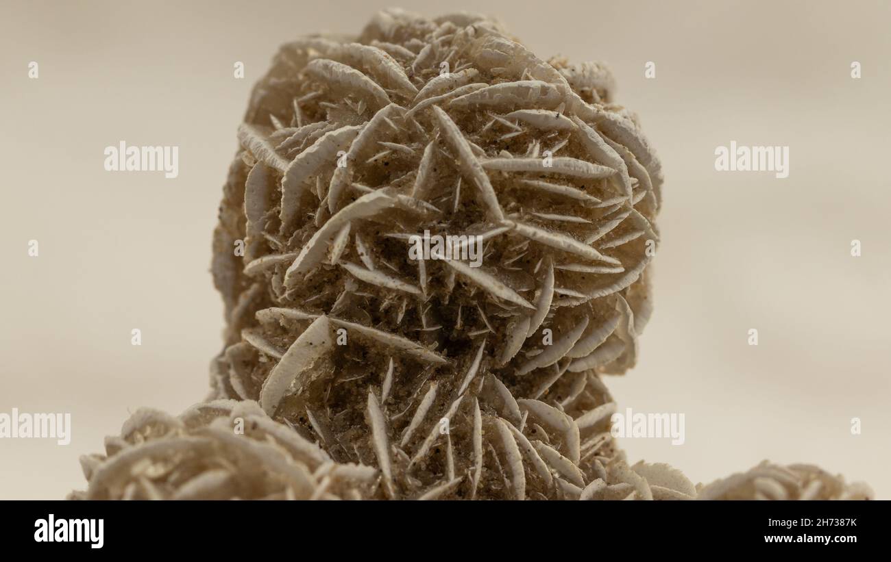 image macro d'un échantillon de minéraux de collecte Banque D'Images