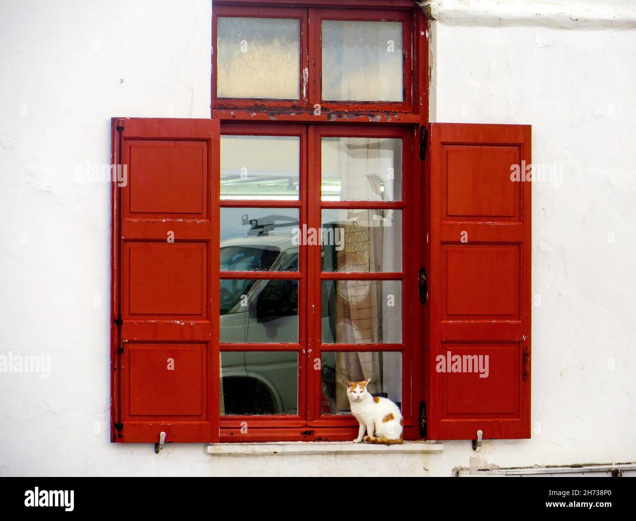 Chat blanc assis sur le rebord extérieur de la fenêtre, avec reflet du véhicule dans un pare-brise en verre, encadré par des volets rouges, contre un mur blanc en Grèce. Banque D'Images