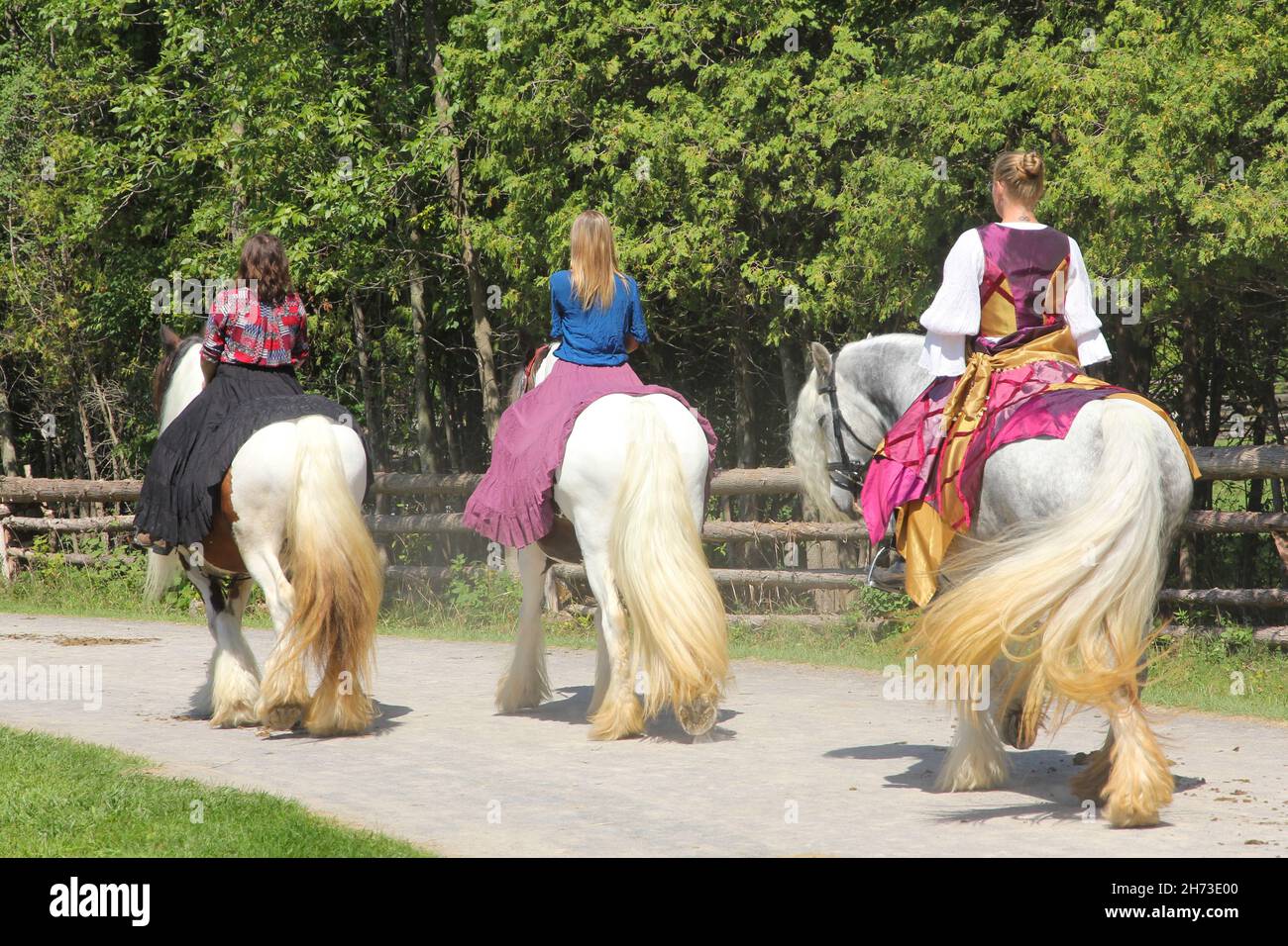 Trois magnifiques chevaux Gypsy Vanner et des cavaliers aux costumes flamboyants participent à la parade du Upper Canada Village, Ontario, Canada. Banque D'Images