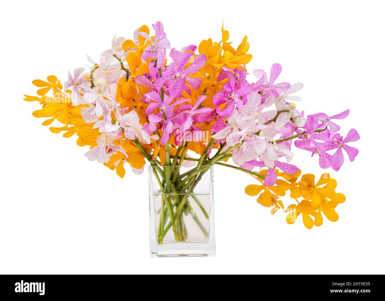 Bouquet d'orchidées dans le vase isolé sur fond blanc.Fleurs orange, pourpre, rose Banque D'Images