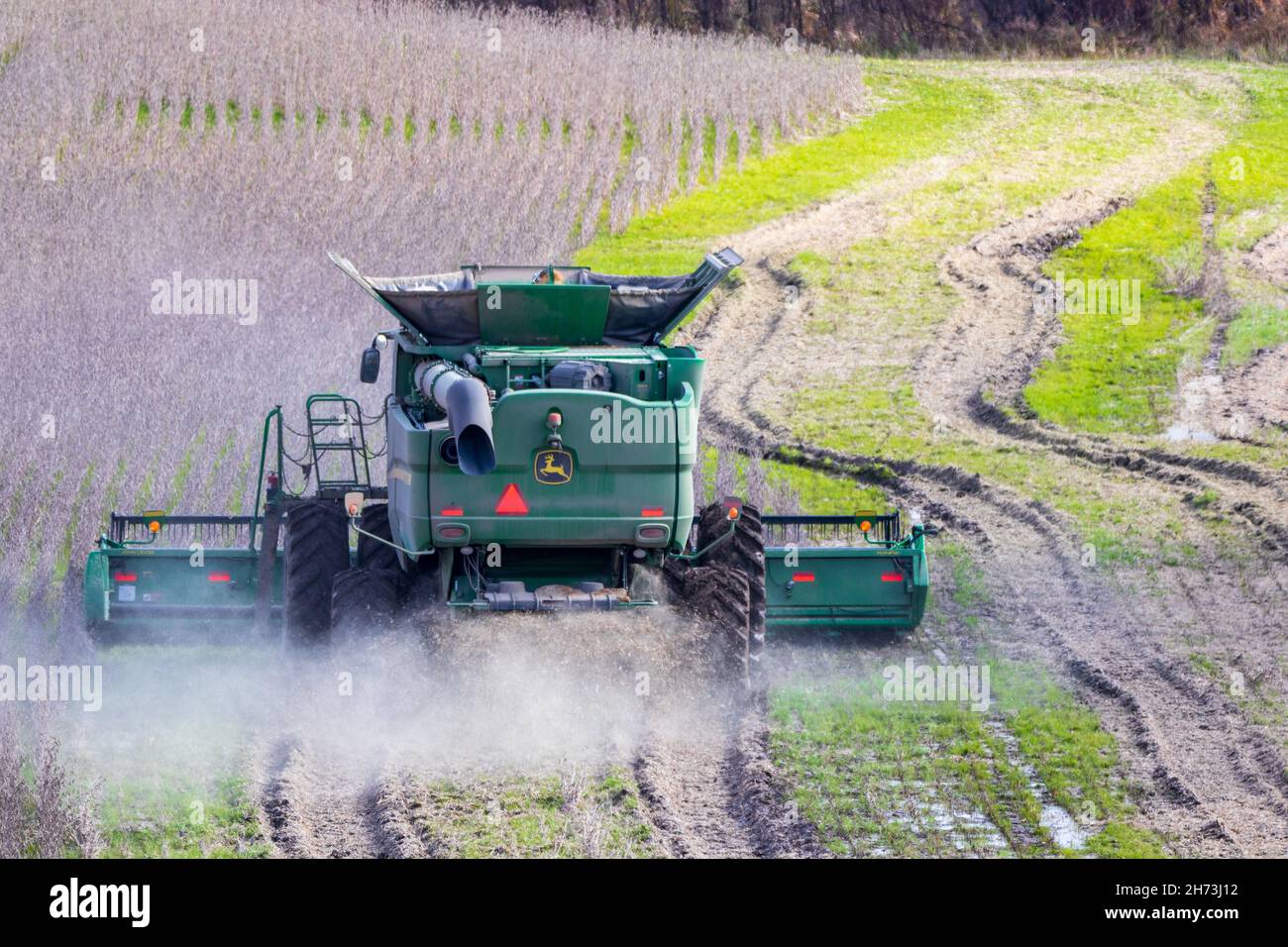 Une moissonneuse-batteuse John Deere, travaillant un champ de soja, est vue de l'arrière-plan un après-midi ensoleillé. Banque D'Images
