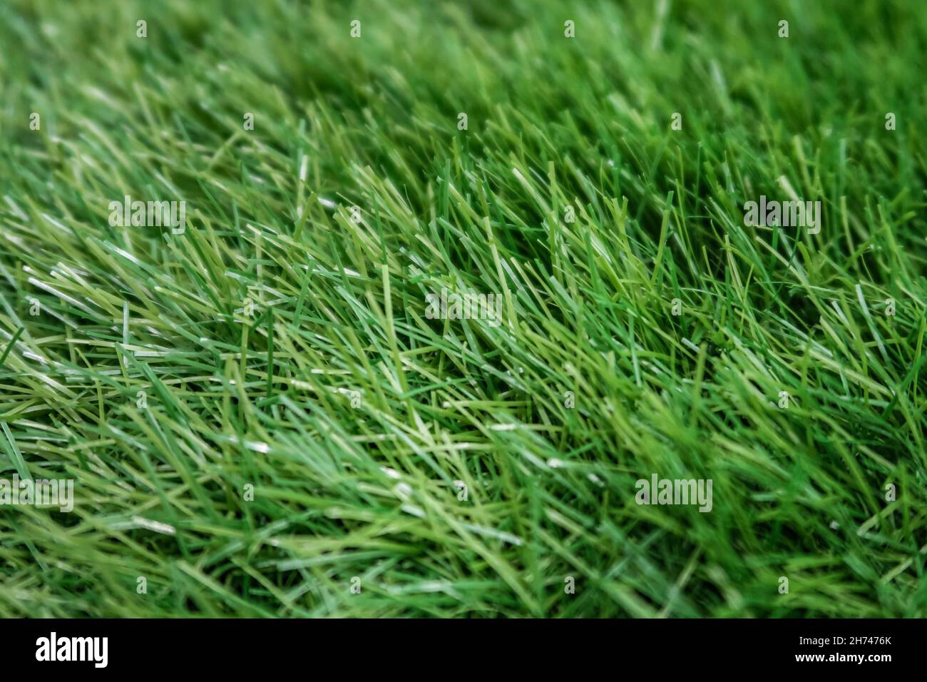 fragment d'une pelouse en plastique dans une faible profondeur de champ.Photo de haute qualité Banque D'Images