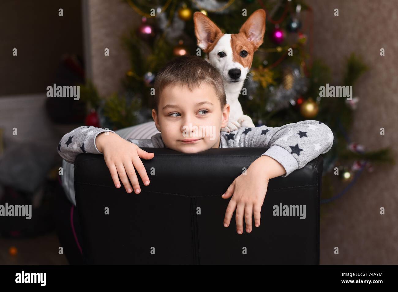 Un garçon avec un chien Jack Russell sur le fond d'un arbre de Noël. Banque D'Images