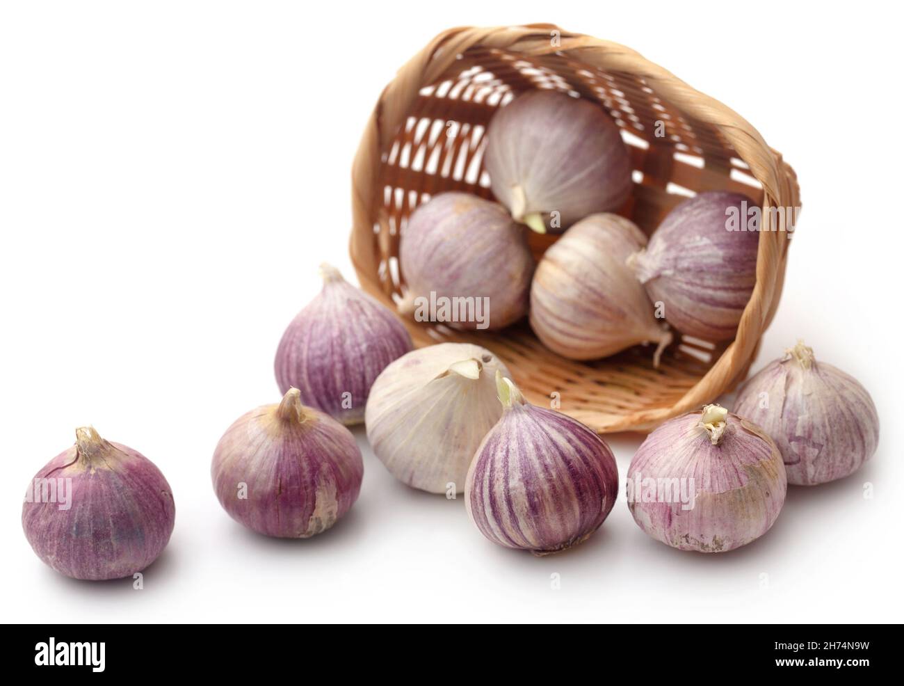 Ail solo ou gousse unique sur fond blanc Banque D'Images