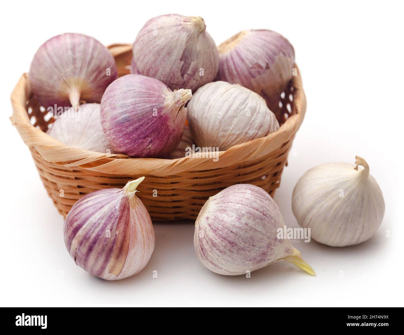 Ail solo ou gousse unique sur fond blanc Banque D'Images