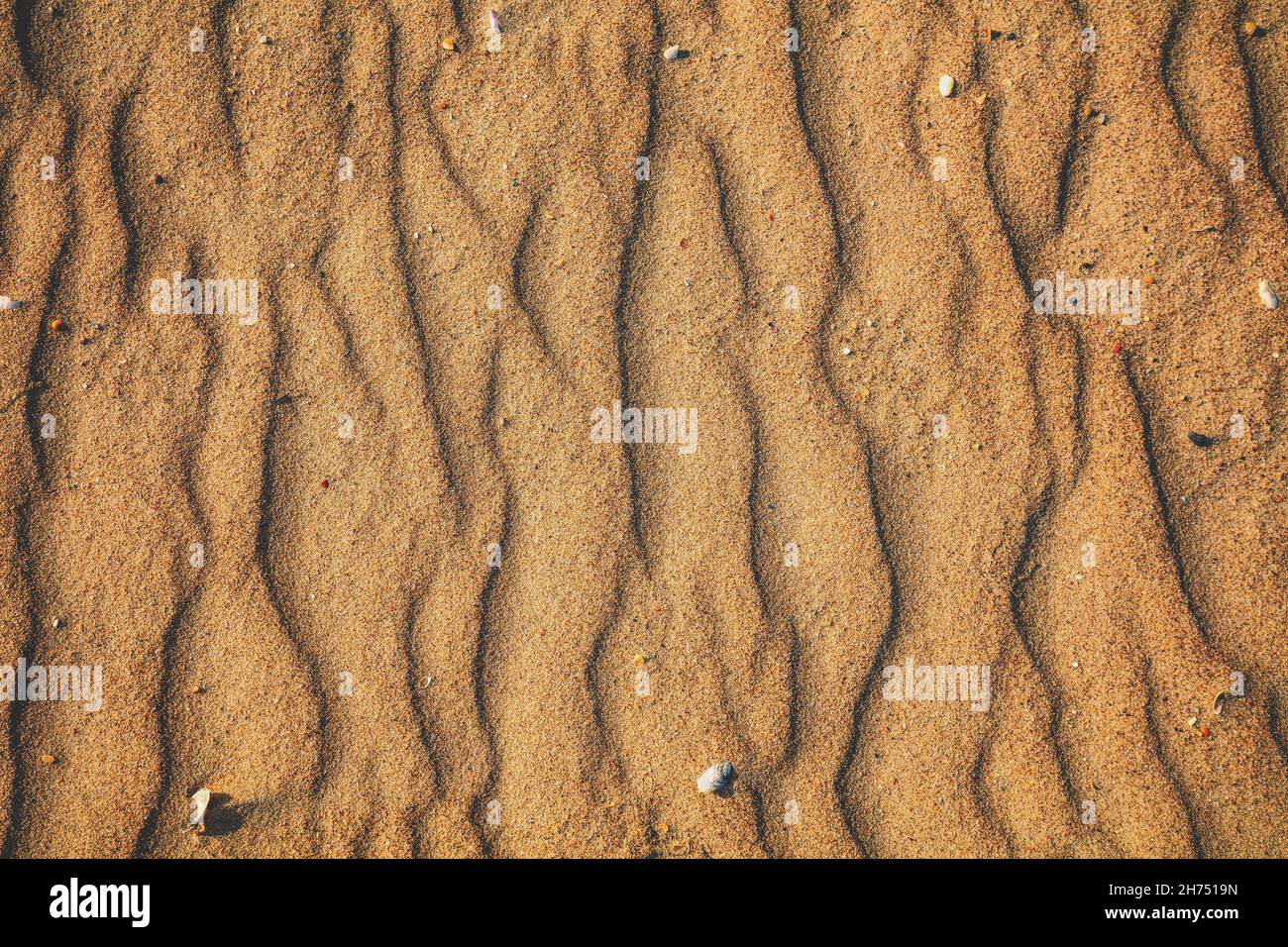 Arrière-plan abstrait et ondulé. Texture sable de plage Banque D'Images