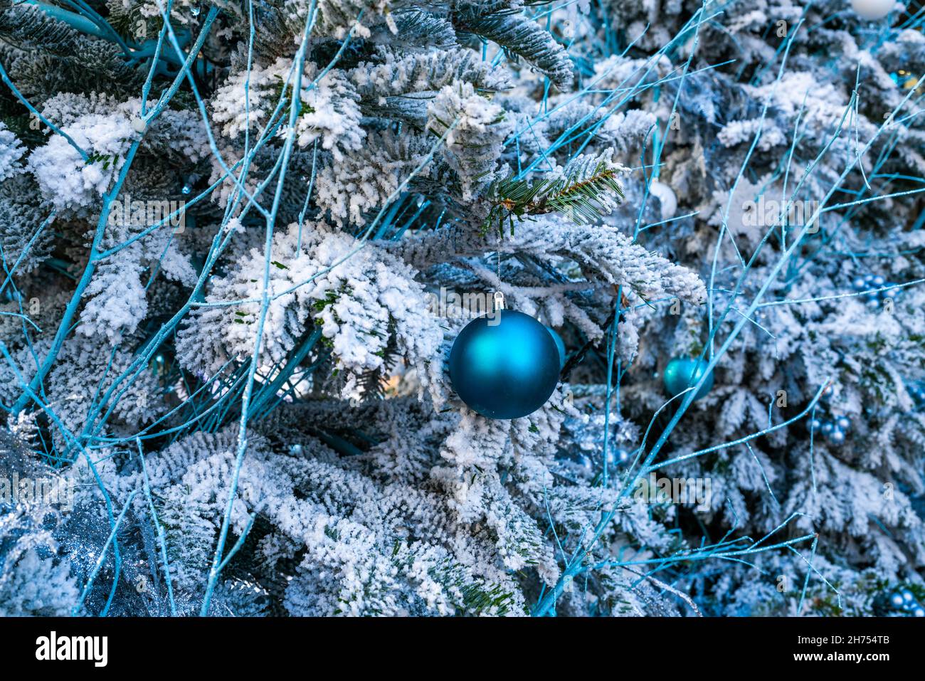 Une boule bleue sur un arbre de noël recouvert de neige Banque D'Images