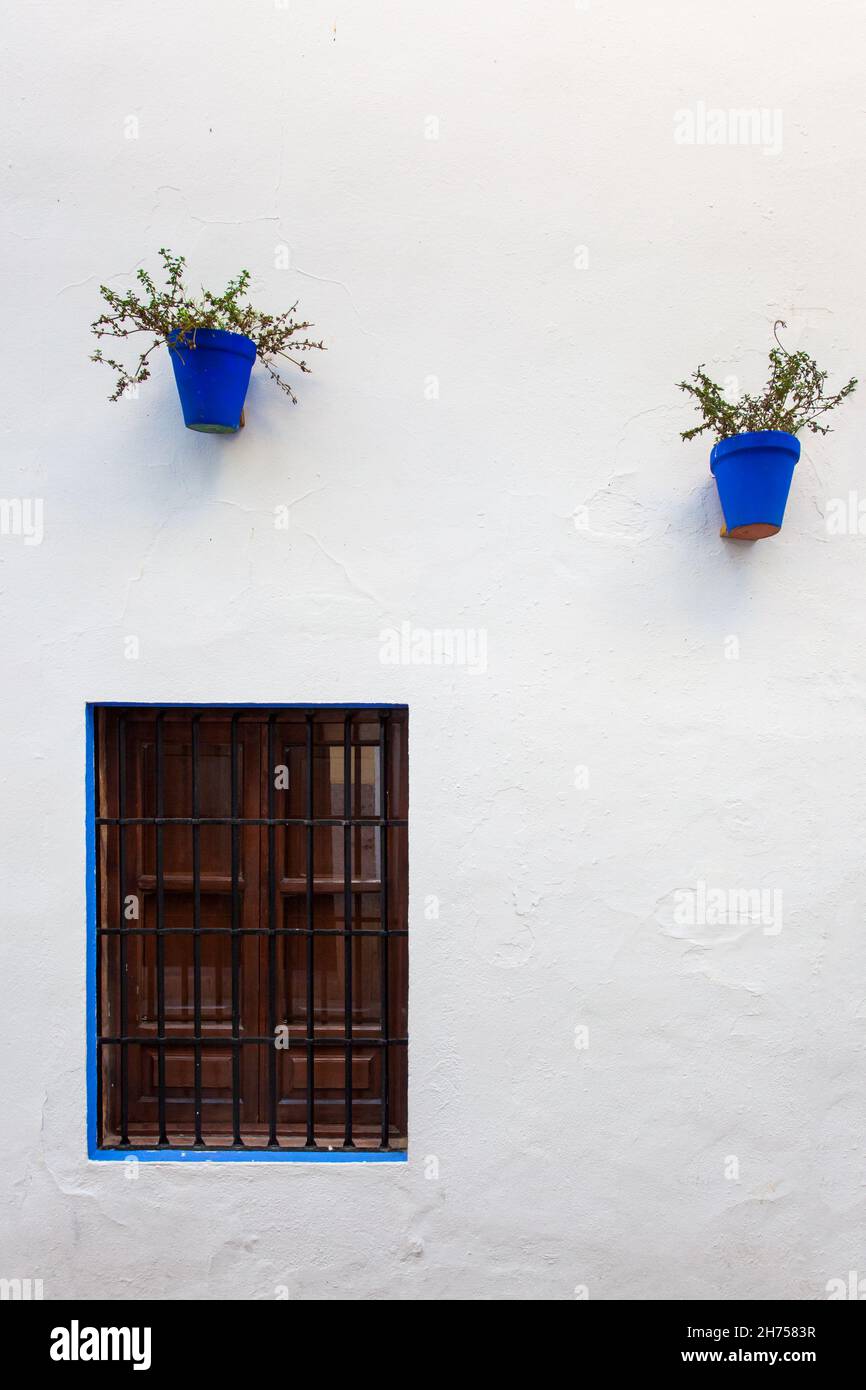 Pots de fleurs sur le mur à Cordoue, Espagne Banque D'Images