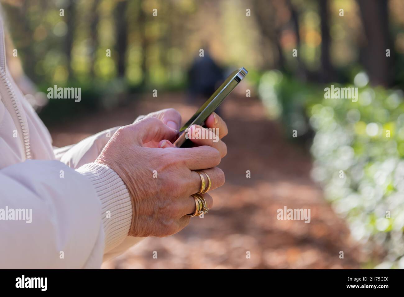 main de femme tenant le smartphone dans un parc public. Banque D'Images