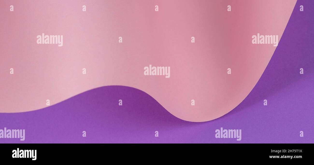 Vague abstraite de papier rose pastel et violet.Papier courbe géométrique créatif avec lumière et ombres.Arrière-plan de géométrie abstraite avec espace de copie Banque D'Images