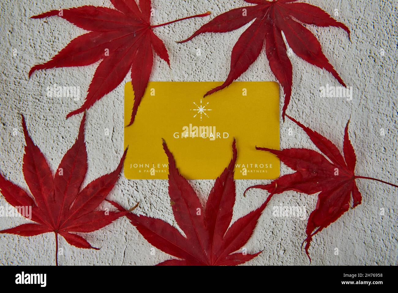 Carte cadeau jaune John Lewis et Waitrose avec feuilles d'érable rouges sur fond gris. Banque D'Images