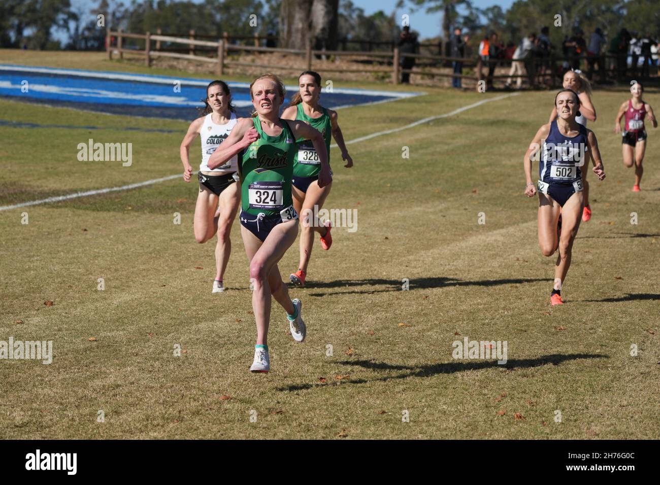 Maddy Denner, de notre Dame, place la neuvième place dans la course féminine en 19:37.7 lors des championnats de cross-country de la NCAA au parc régional d'Apalachee, à Saturda Banque D'Images