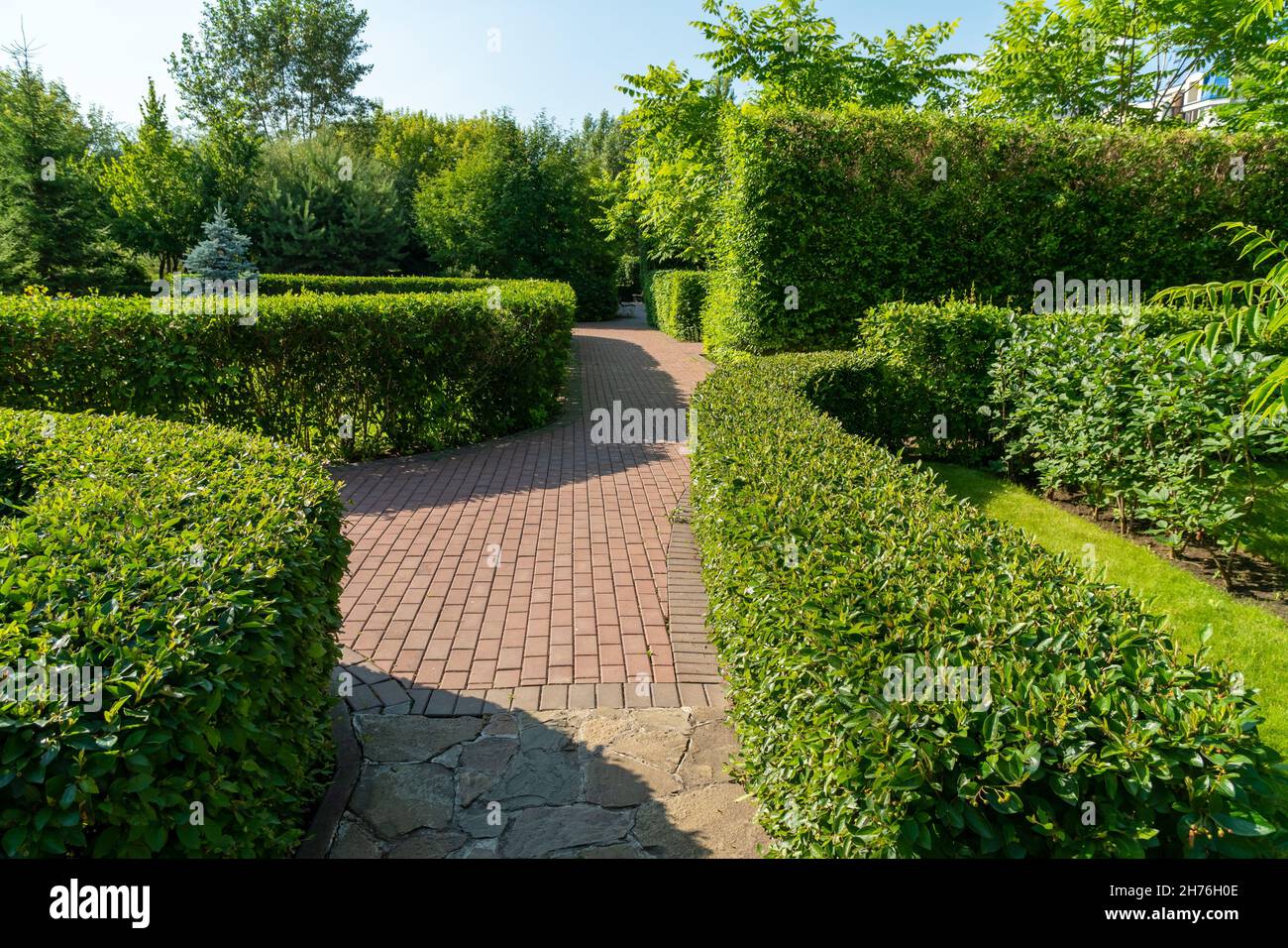 Les buissons, magnifiquement taillés, encadrez les chemins dans le parc lors d'une journée ensoleillée d'été. Banque D'Images