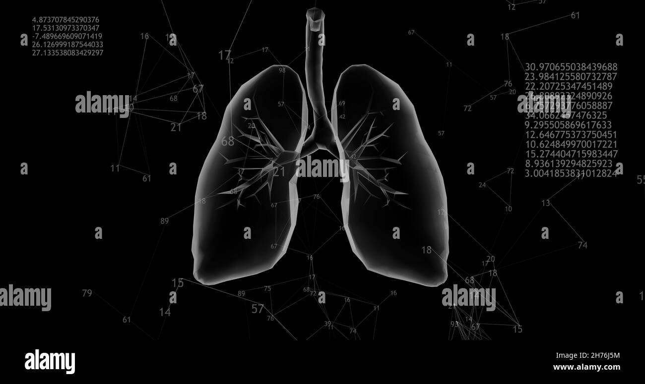 Rotation de 360 poumons polygonaux bas modèle 3D sur fond noir avec des nombres animés. Illustration 3D Banque D'Images