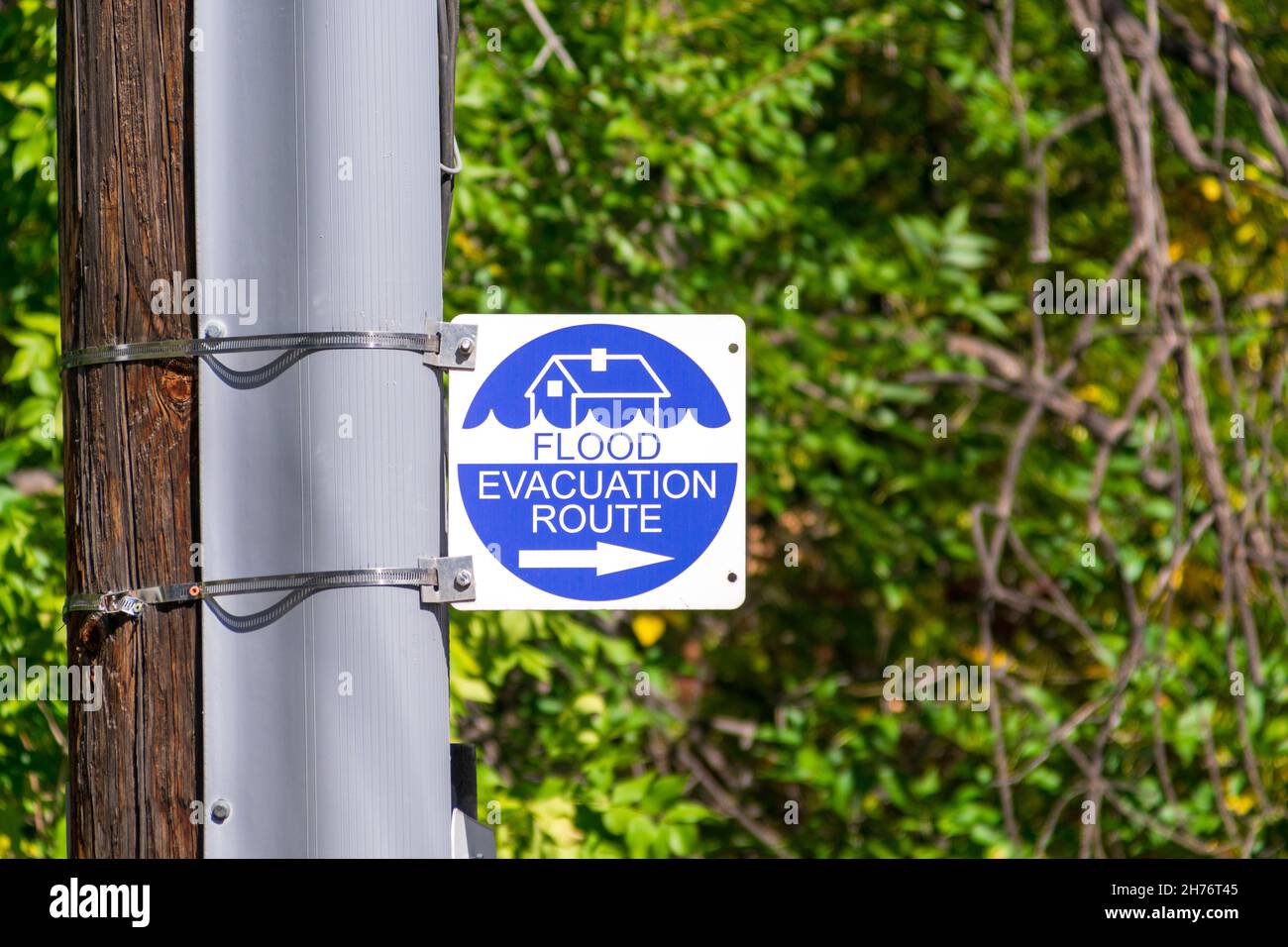 Panneau de route d'évacuation d'inondation avec une flèche de direction droite sur le poteau de rue.Arrière-plan d'arbres verts flou. Banque D'Images