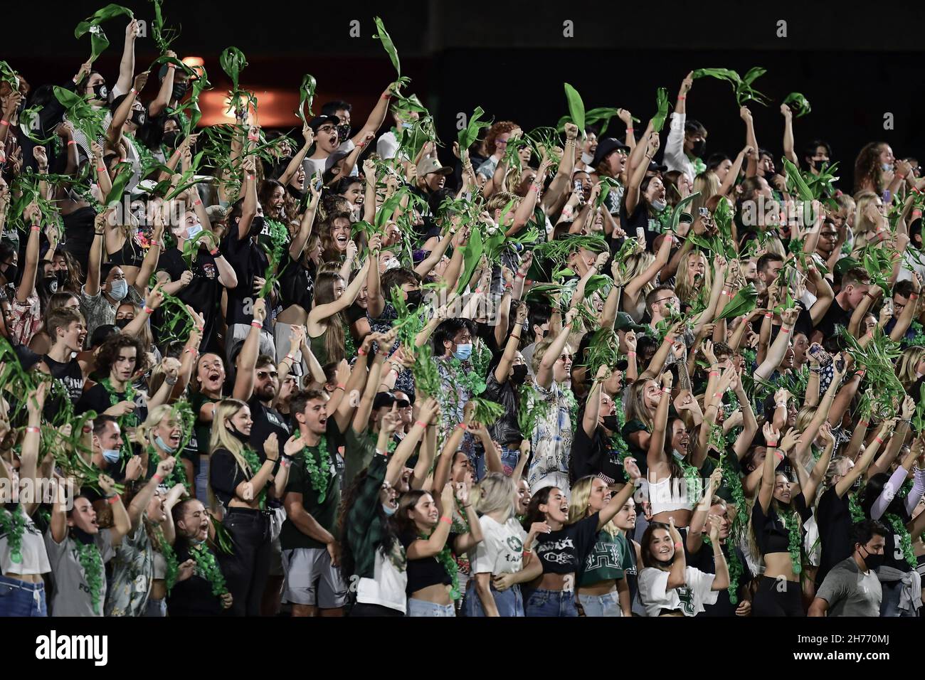 Honolulu, Hawaï, États-Unis.20 novembre 2021.Les fans d'Hawaï agitent des feuilles de thé pendant un match entre les Colorado State Rams et les Hawaii Rainbow Warriors joué à Clarence T.C.Ching Field Manoa Campus, Honolulu, Hawaï.(Image de crédit : © Steven Erler/ZUMA Press Wire) Banque D'Images