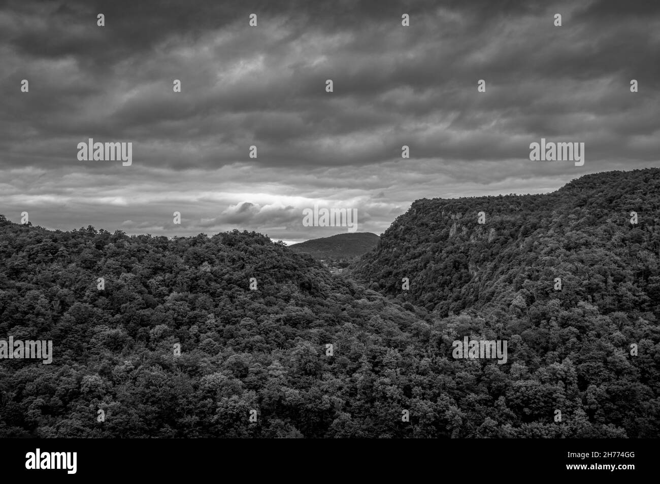 Vue panoramique sur une forêt dense de feuillus avant la tempête près du monastère médiéval de Gelati, en Géorgie.Noir et blanc. Banque D'Images