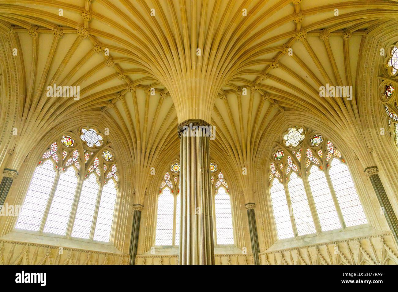 Vue intérieure de la cathédrale de Wells - le magnifique plafond voûté de la maison circulaire de Chapitre, Somerset, Angleterre, Royaume-Uni Banque D'Images