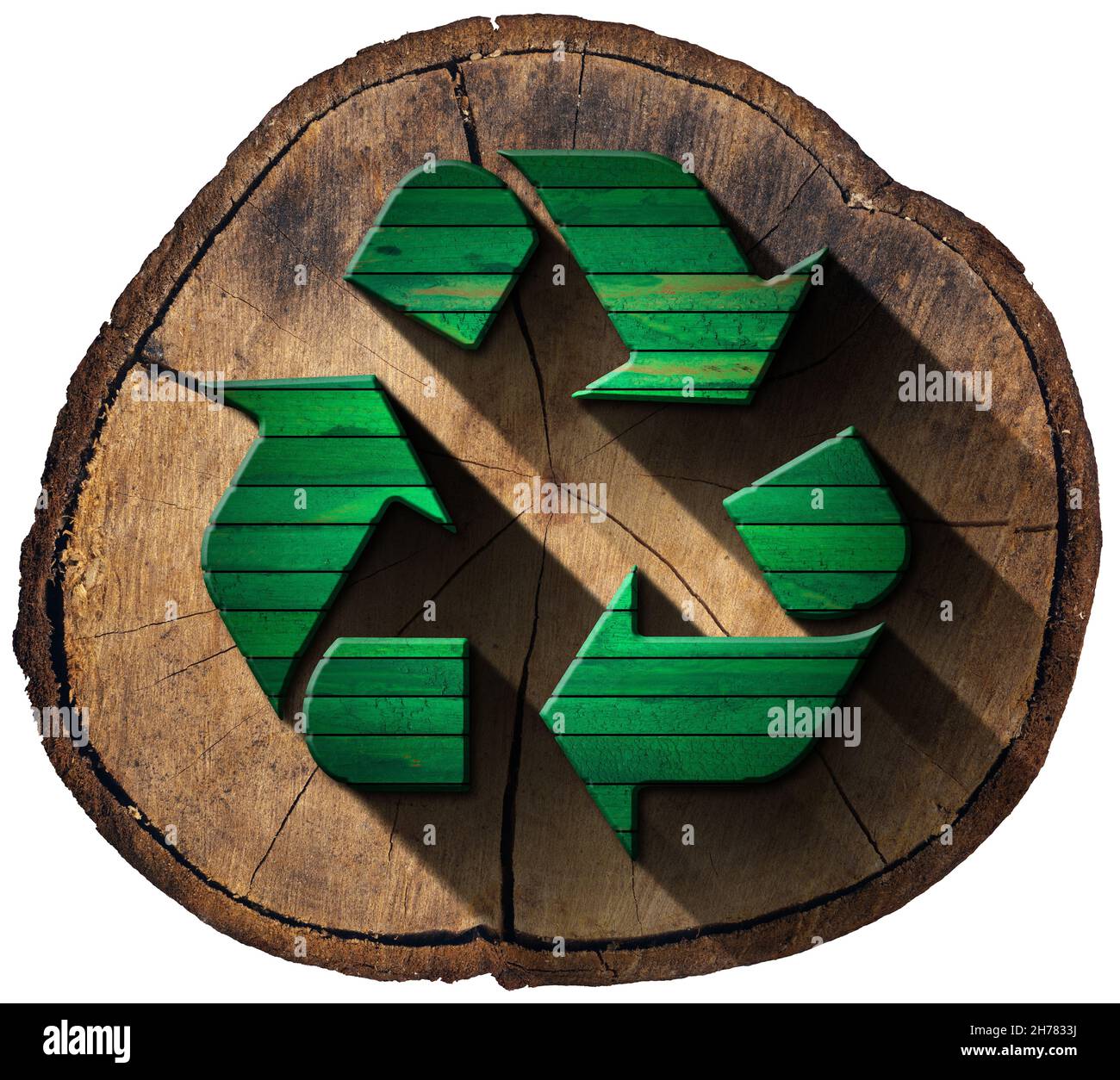 Symbole de recyclage en bois vert sur une section de tronc d'arbre isolée sur fond blanc. Banque D'Images