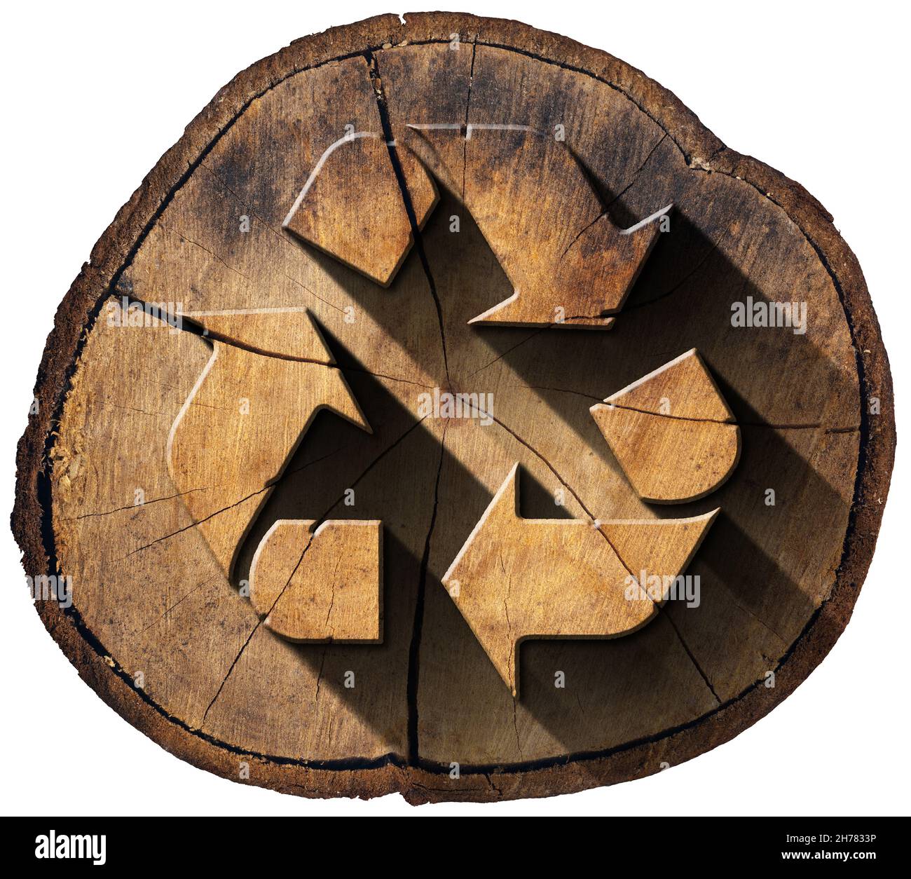 Symbole de recyclage en bois sur une section de tronc d'arbre isolée sur fond blanc. Banque D'Images