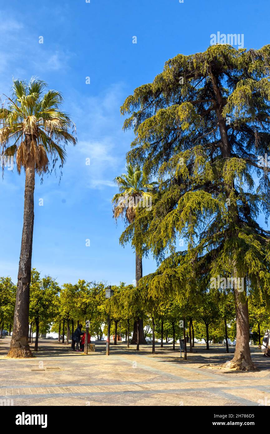 Parque Alameda Vieja en Jerez de la Frontera en la provincia de Cádiz, Bellleza y Detales / Parc Alameda Vieja en Jerez de la Frontera, Cadix Banque D'Images