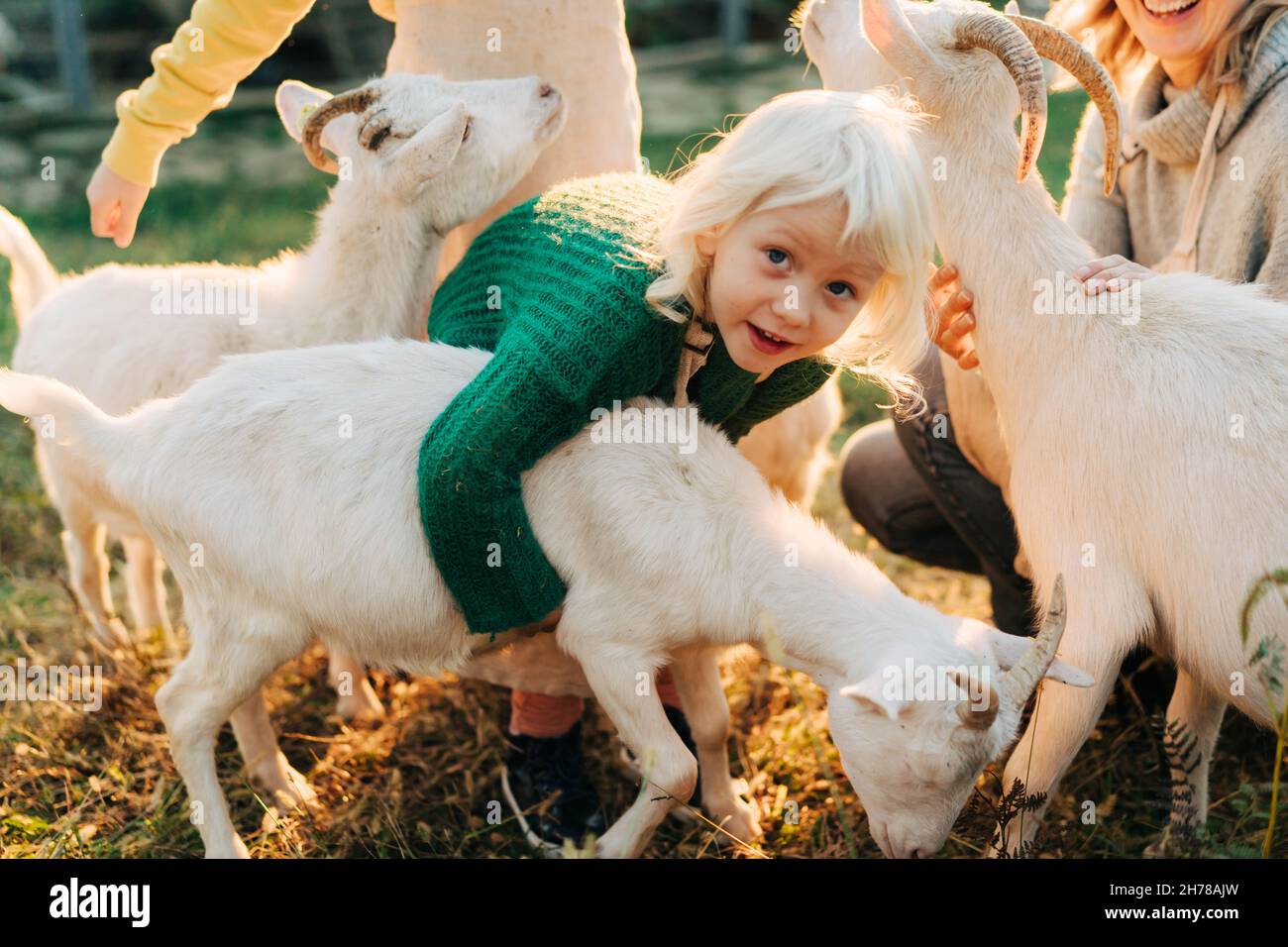 Une petite fille blonde empathique adorable épouse une chèvre blanche à la ferme. Banque D'Images