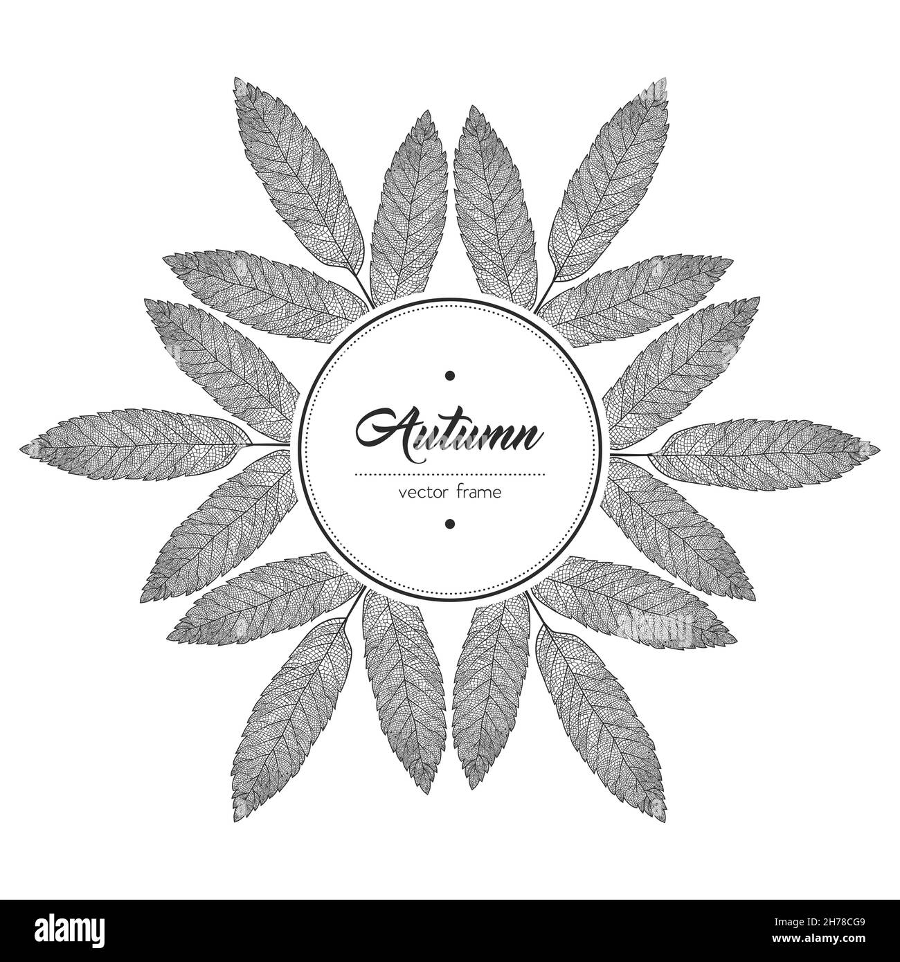 Cadre rond en feuilles d'automne noir et blanc Illustration de Vecteur