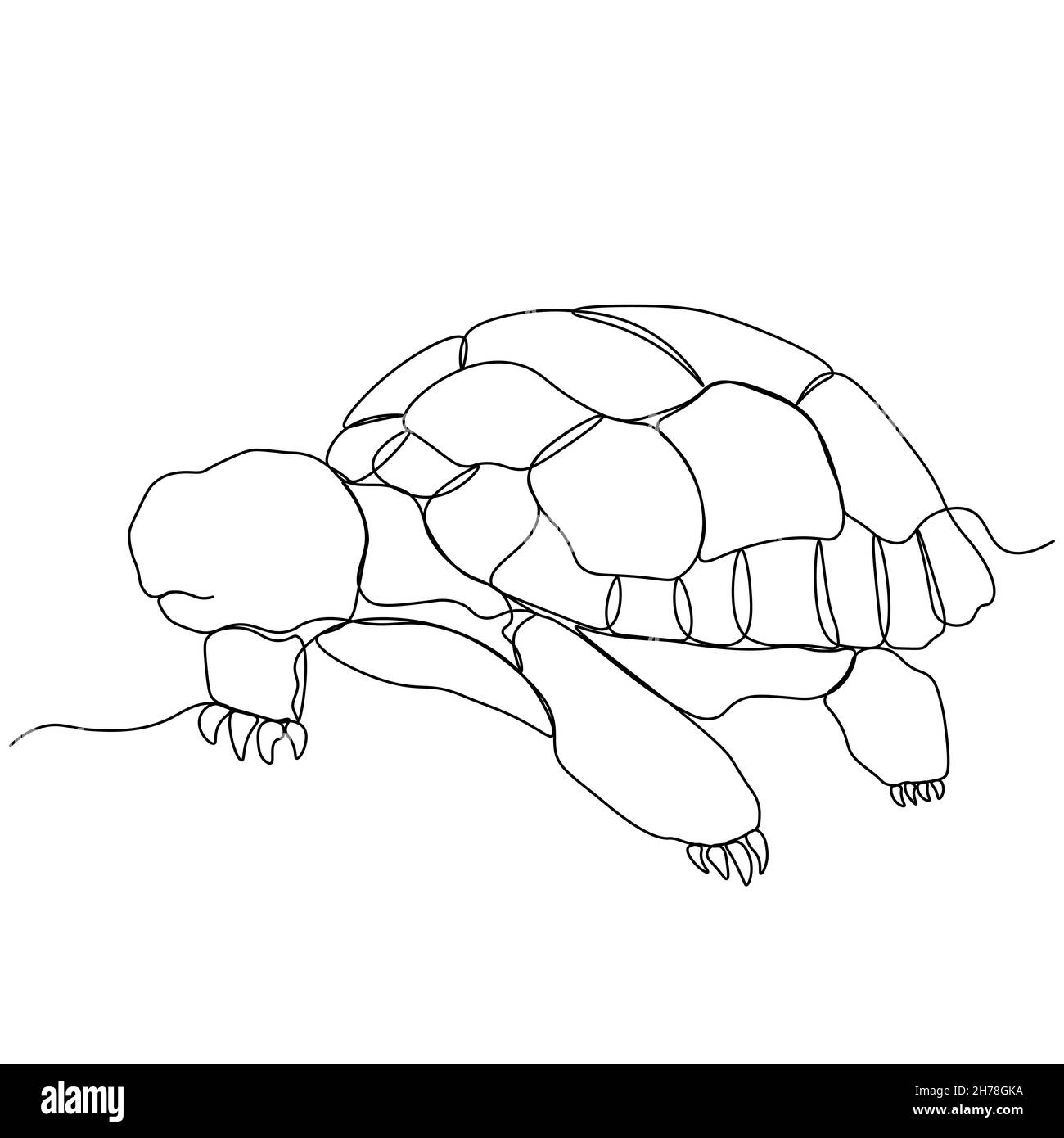 Un dessin d'une seule ligne de tortue terrestre pour l'identité du logo.Adorable créature reptile animal mascotte concept pour la fondation de conservation.Continuer Illustration de Vecteur
