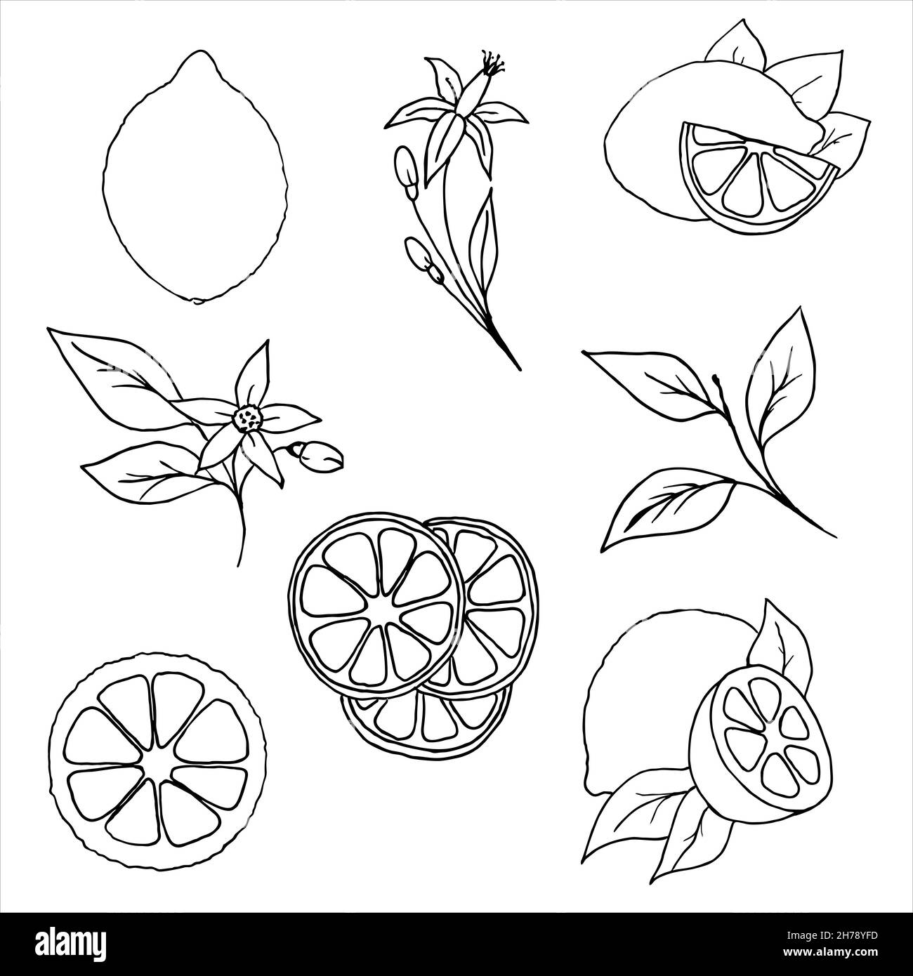 Citrons clipart pour le bricolage, le dessin graphique noir, les graphiques vectoriels Banque D'Images
