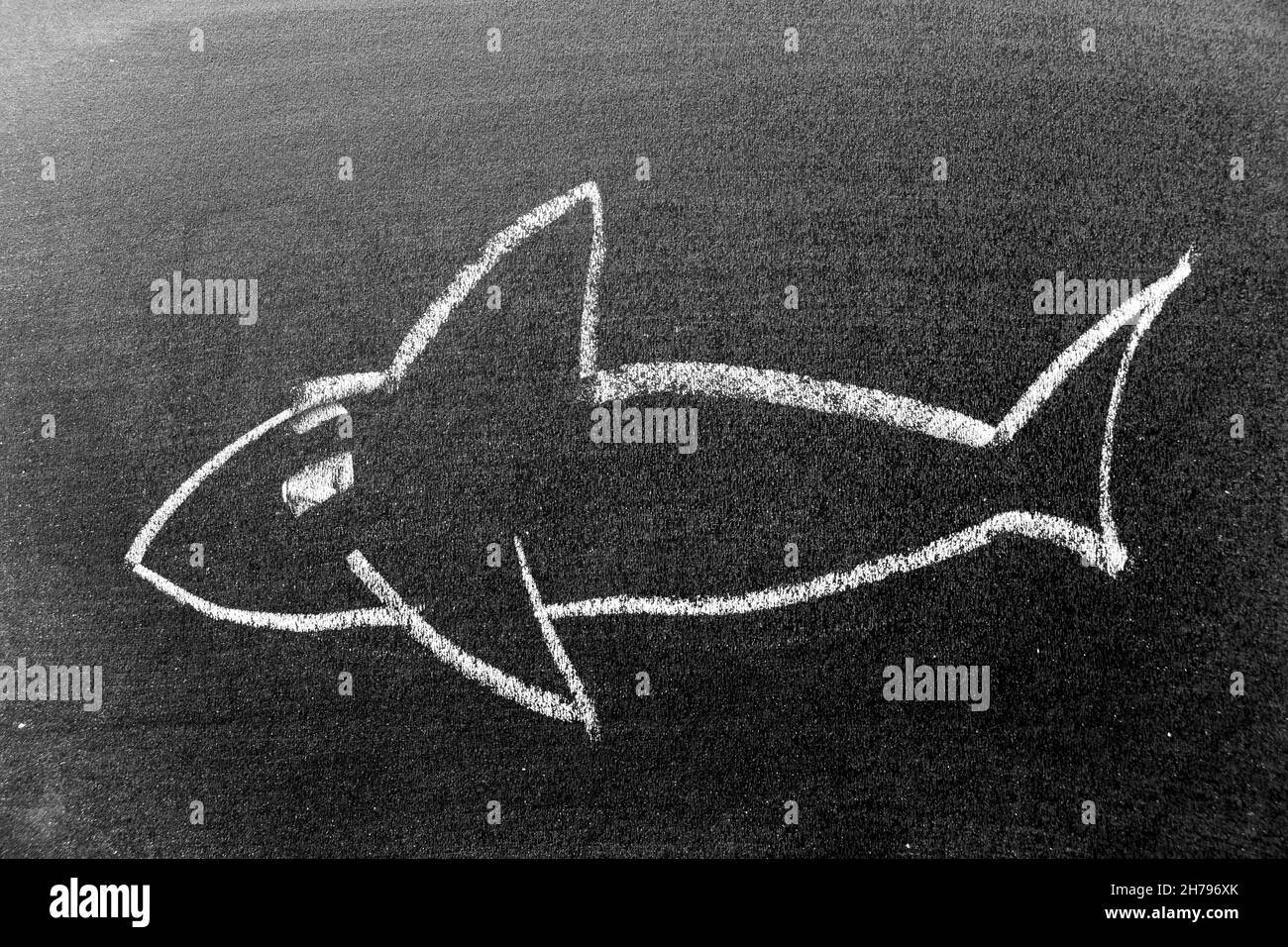 Craie blanche dessin à la main en forme de requin ou d'orque (orque) sur fond noir Banque D'Images