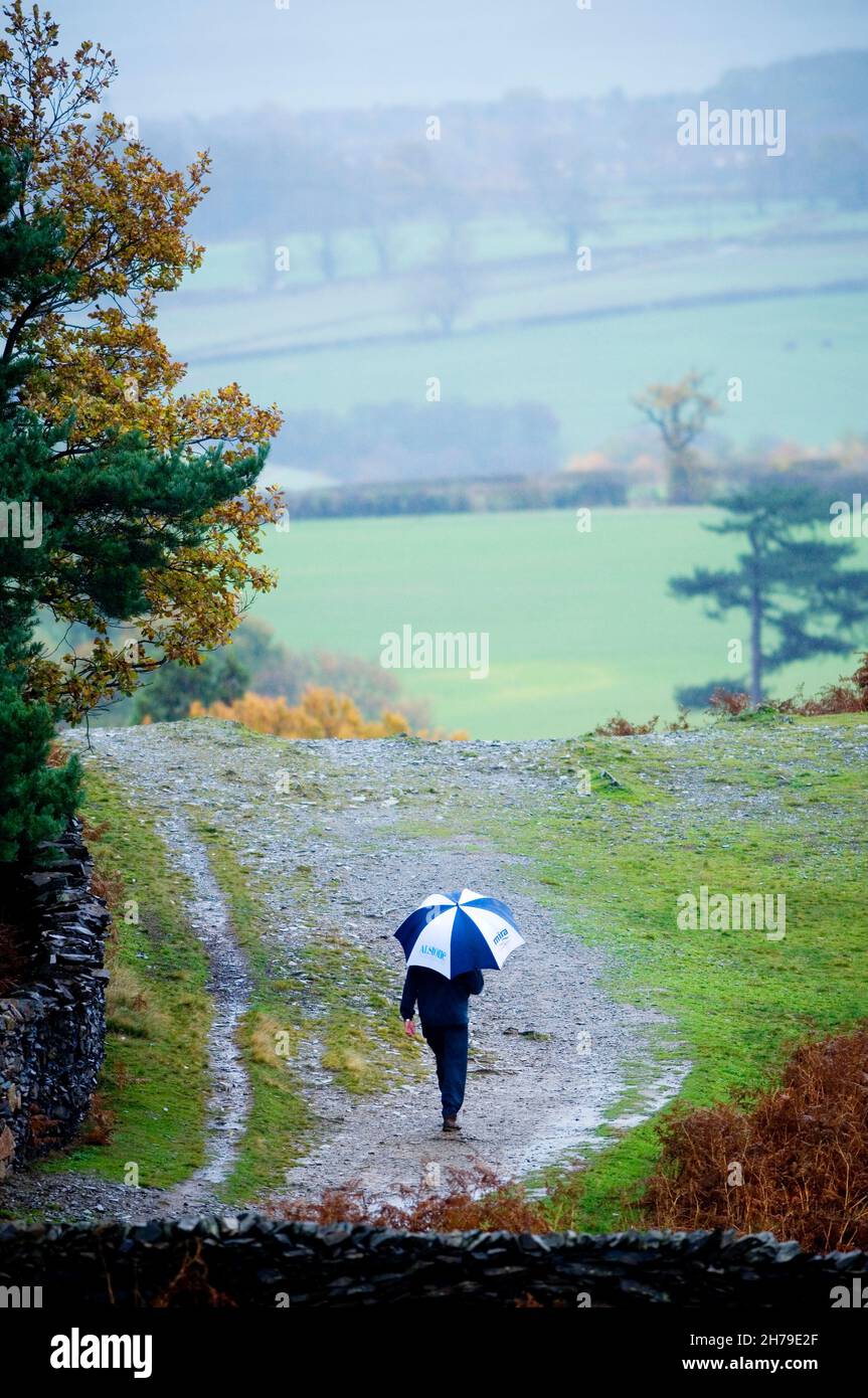 Campagne promeneur dans la pluie avec un parapluie, Charnwood, Leicestershire, Angleterre, Royaume-Uni. Banque D'Images