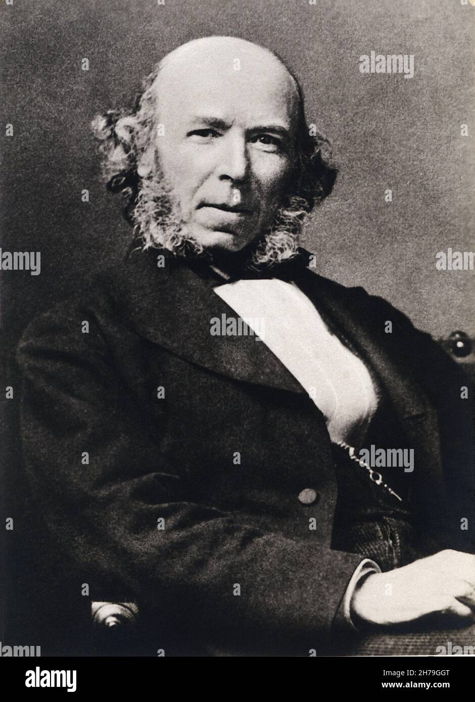 Portrait du philosophie et sociologique allemand Herbert Spencer (1820-1903) - photographie anonymique ©Archives-Zephyr/Opale.photo *** Légende locale *** Banque D'Images