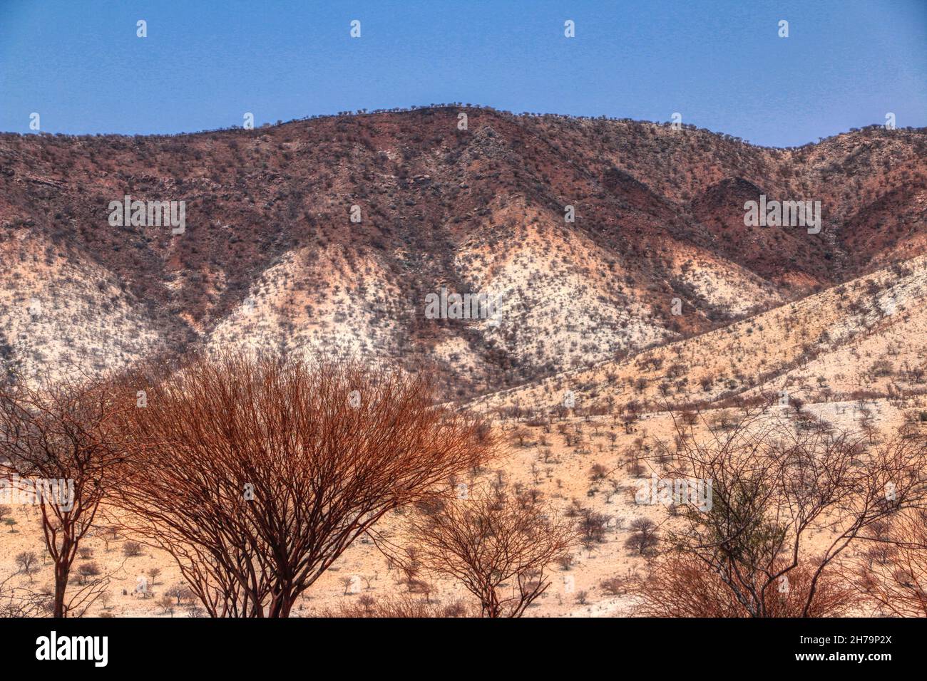 Namibie, Kunene River, Epupa Falls, Angola, Himba,Tribu, Afrique, Voyage, Photographie Banque D'Images