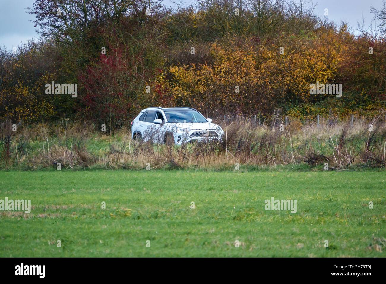 Une Toyota RAV4 hybride blanche à auto-charge (véhicule d'activité de loisir) qui longe une route de campagne dans le Wiltshire au Royaume-Uni Banque D'Images