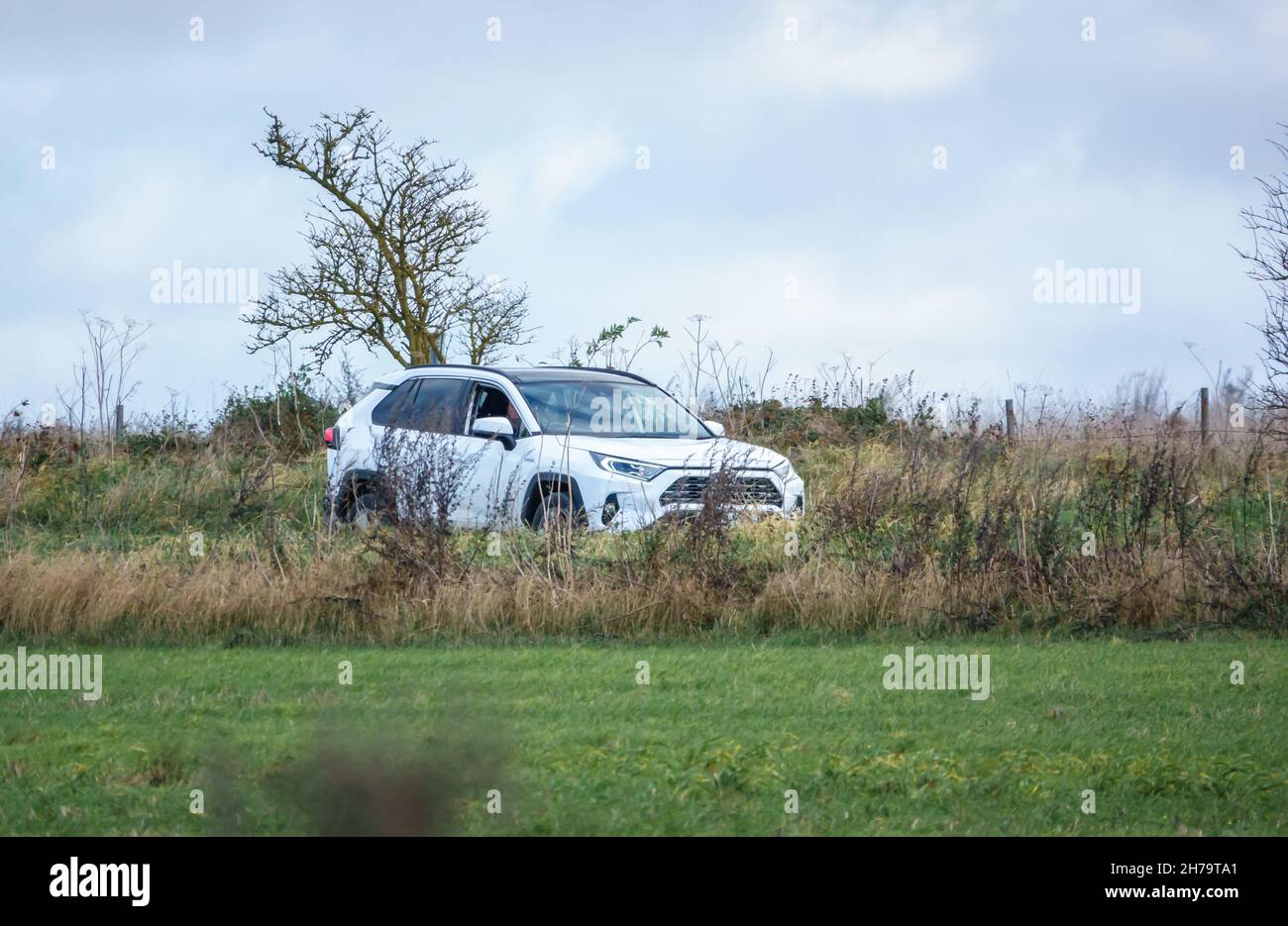 Une Toyota RAV4 hybride blanche à auto-charge (véhicule d'activité de loisir) qui longe une route de campagne dans le Wiltshire au Royaume-Uni Banque D'Images