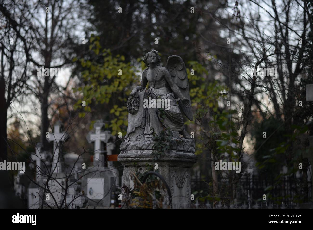 statue d'ange en pierre dans le cimetière Banque D'Images