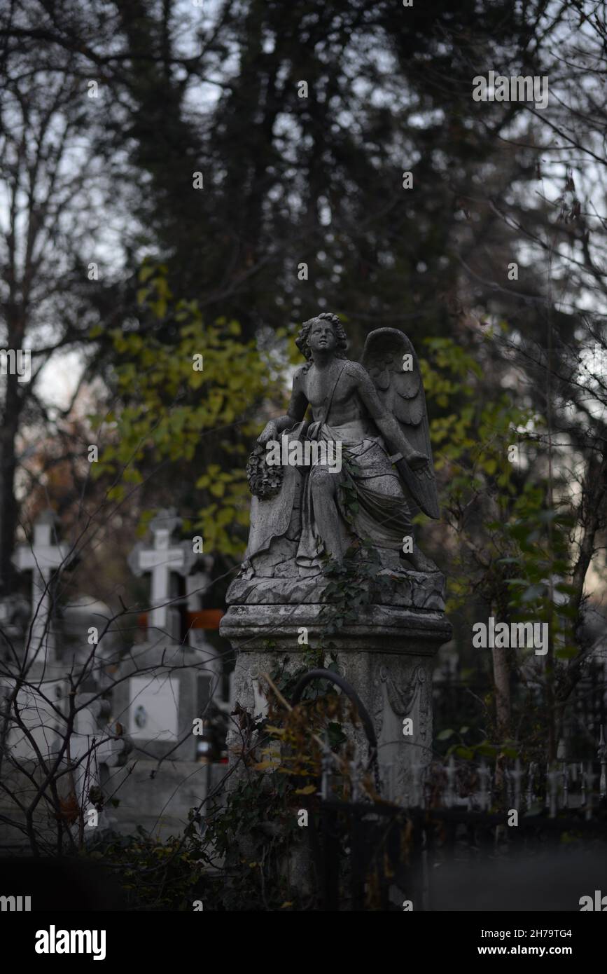 statue d'ange en pierre dans le cimetière Banque D'Images