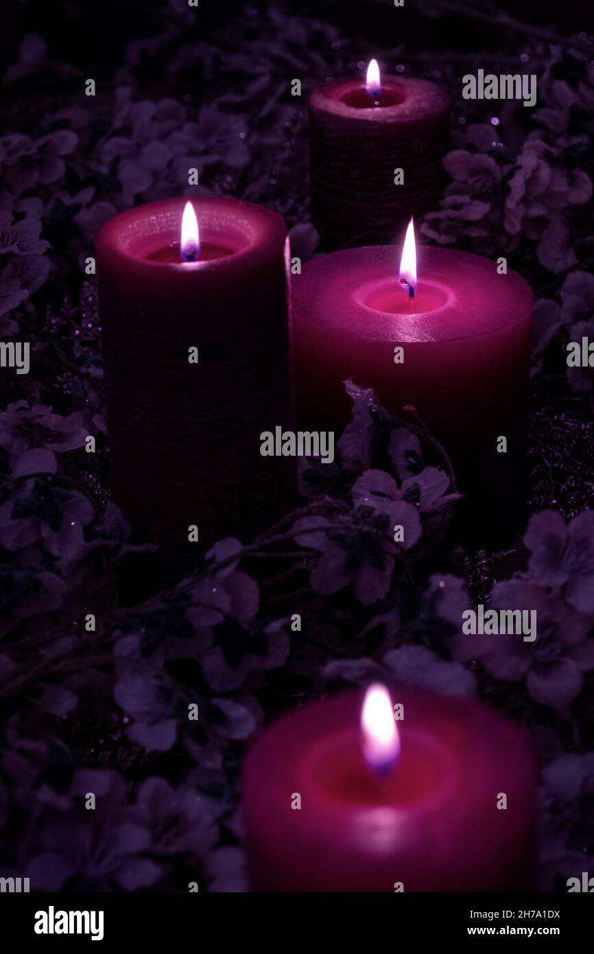 Beaucoup de bougies mauves magiques brûlent sur le fond noir avec des  fleurs Photo Stock - Alamy