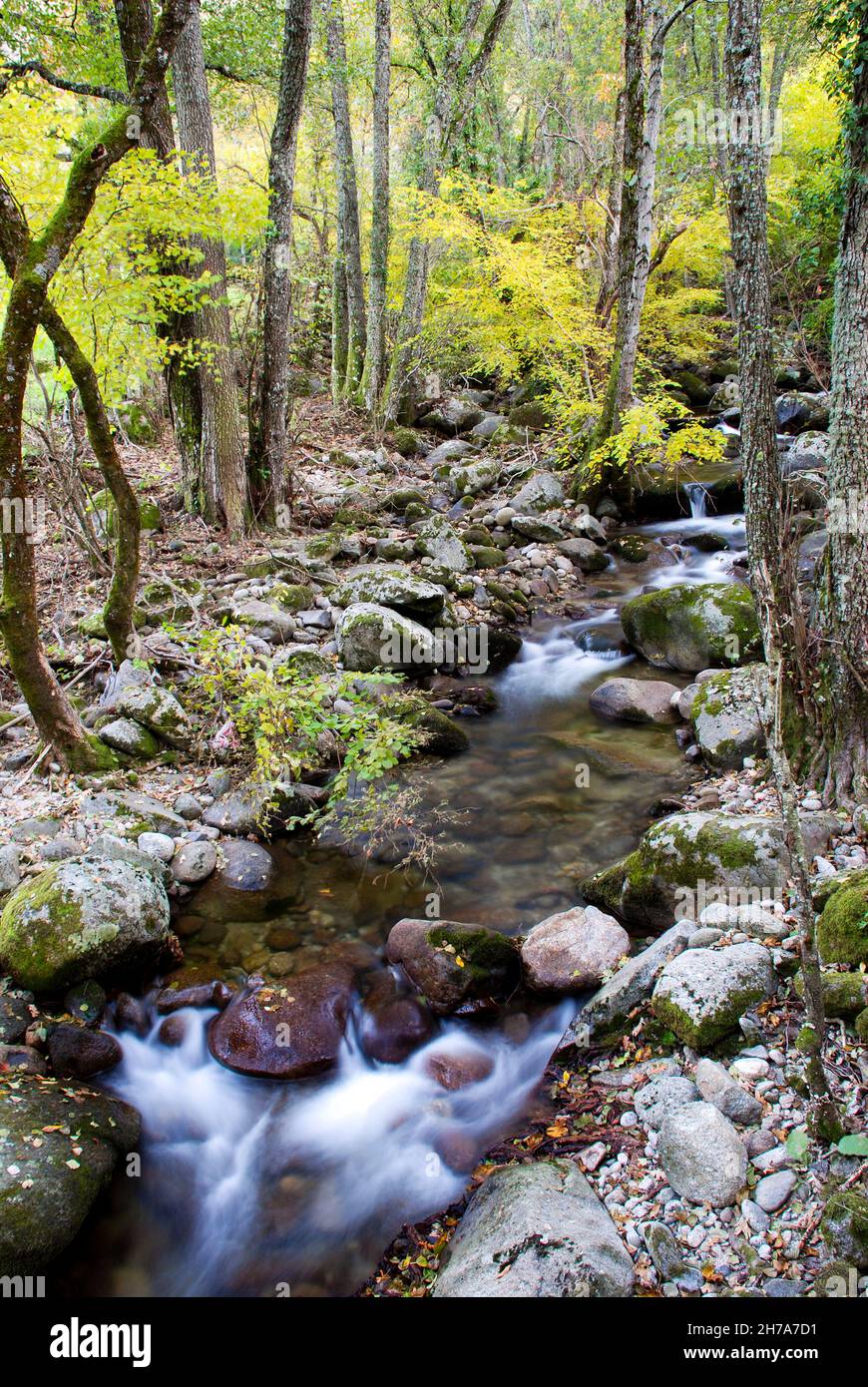 Arroyo Balozano Hervas Caceres Estrémadure en automne longue exposition eau soyeuse Banque D'Images