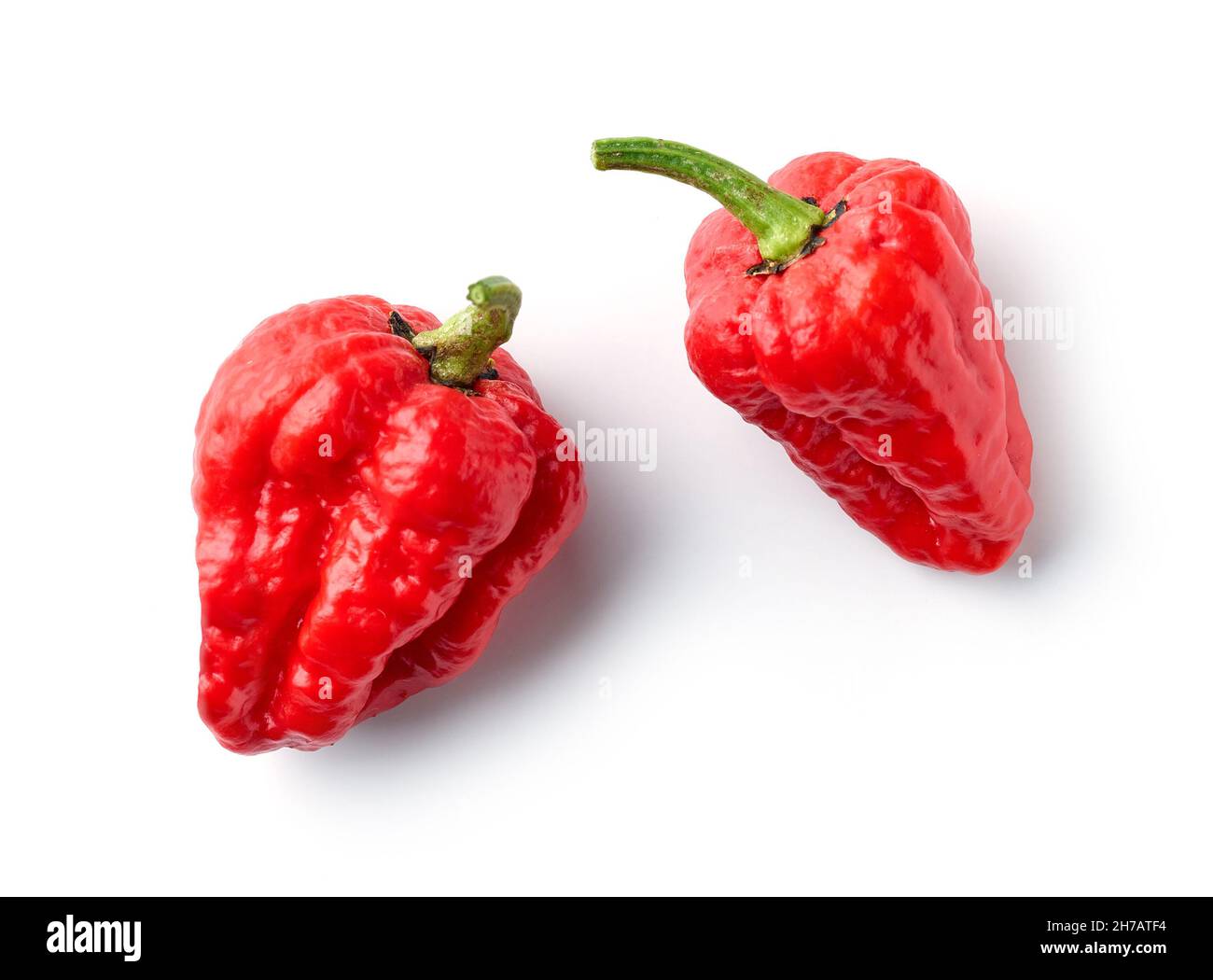 poivrons rouges chauds mûrs isolés sur fond blanc, vue du dessus Banque D'Images