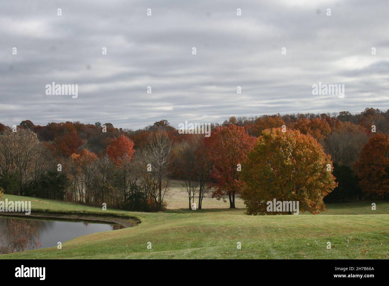 Lost Creek Vineyard-Missouri Wine Country Banque D'Images