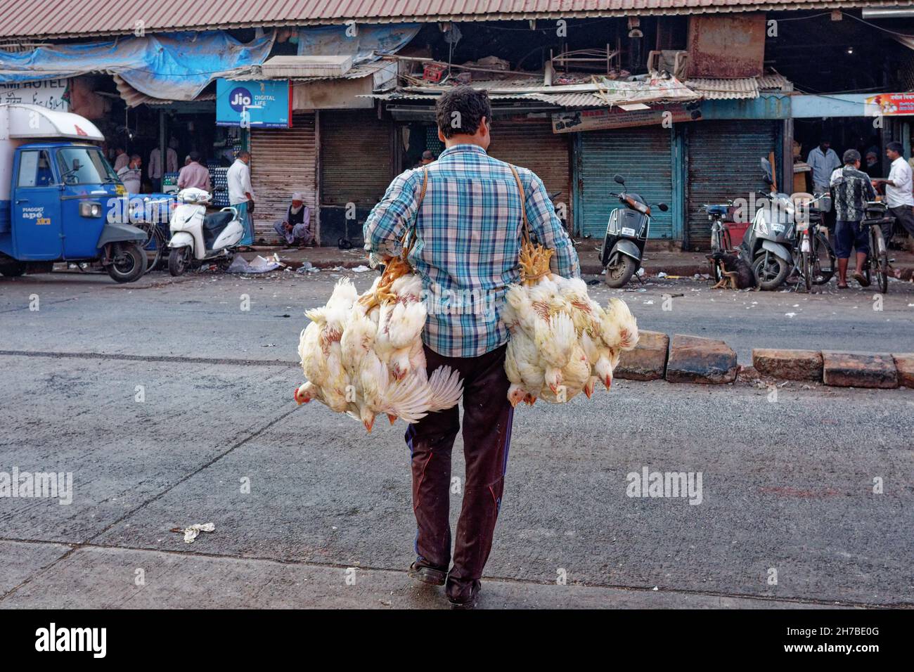 Un homme porte deux bunks de poulets vivants attachés d'un marché à Mumbai, en Inde, pour revente à un boucher Banque D'Images
