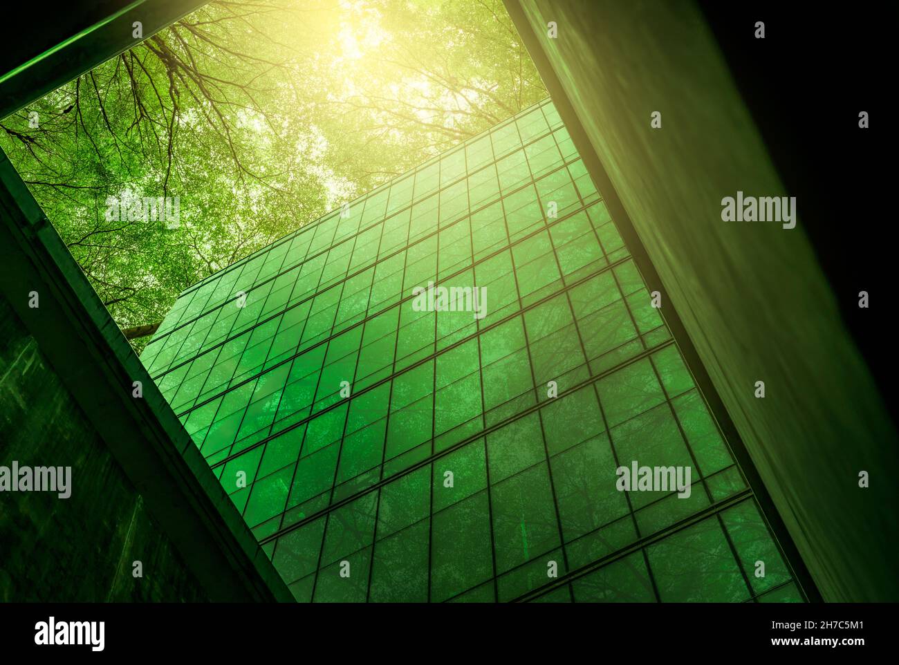 Bâtiment écologique dans la ville moderne.Bâtiment de bureau durable en verre avec arbre pour réduire la chaleur et le dioxyde de carbone.Bâtiment de bureau avec vert Banque D'Images