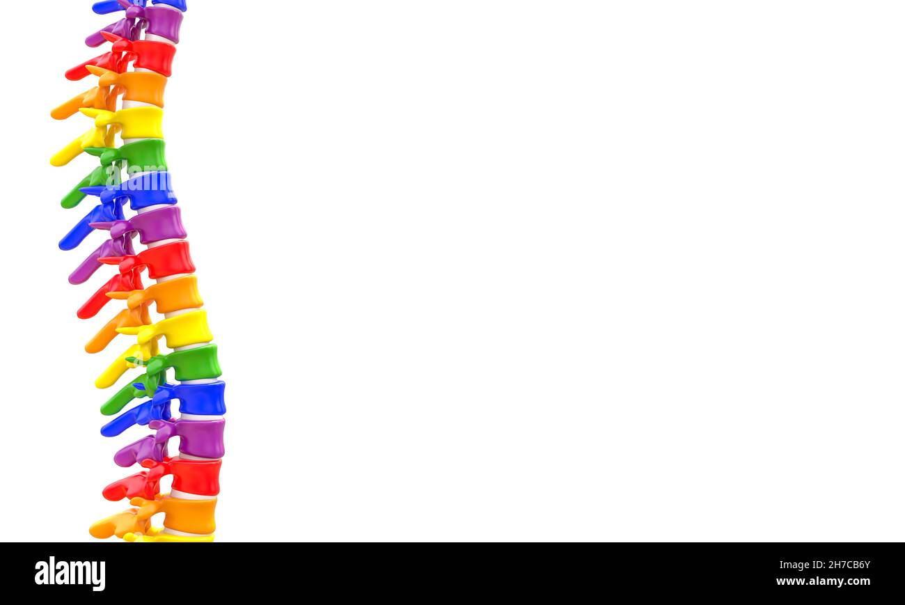 colonne vertébrale avec vertèbres colorées en arc-en-ciel.rendu 3d Banque D'Images
