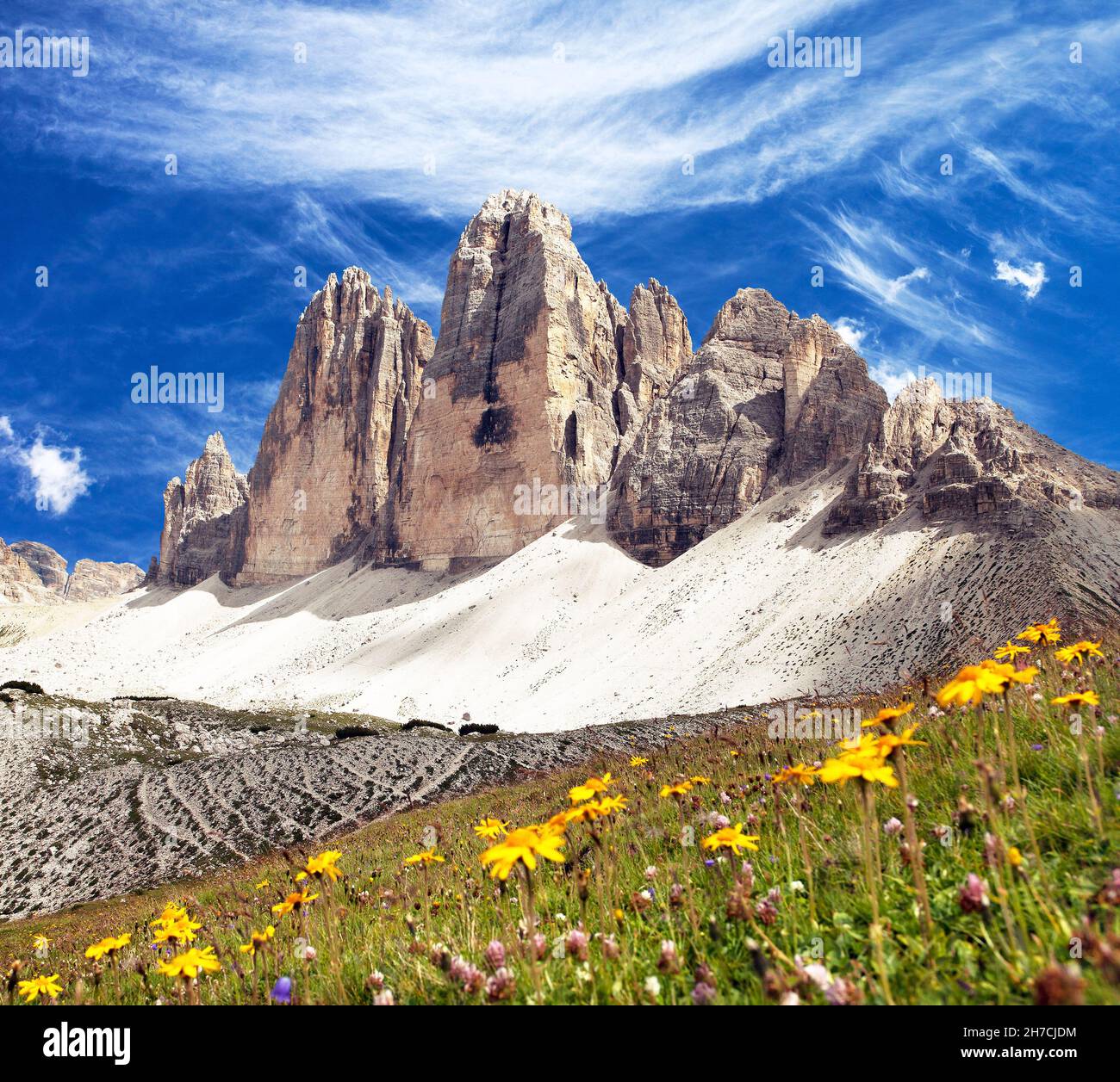 Drei Zinnen ou Tre Cime di Lavaredo avec belle prairie à fleurs, Sextener Dolomiten ou Dolomiti di Sesto, Tirol du Sud, vue sur les Dolomites, I Banque D'Images